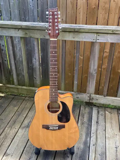 Beaver Creek 12 string. Acoustic/Electric. In really great shape, fairly new strings. Comes with a b...