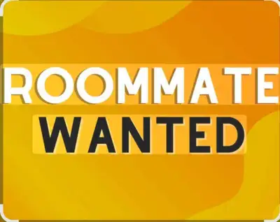 Roommate Wanted
