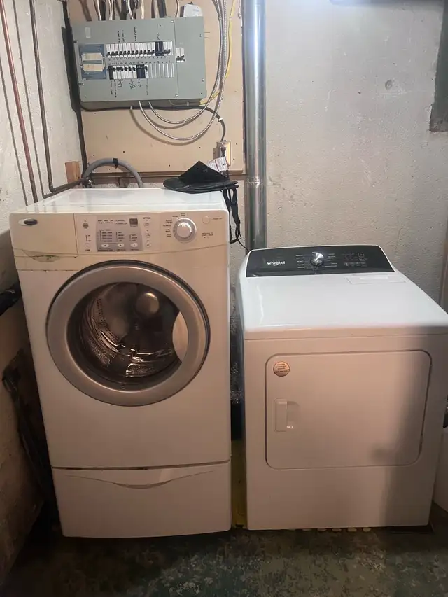 1 bedroom in a legal basement apartment in Long Term Rentals in Oshawa / Durham Region - Image 5