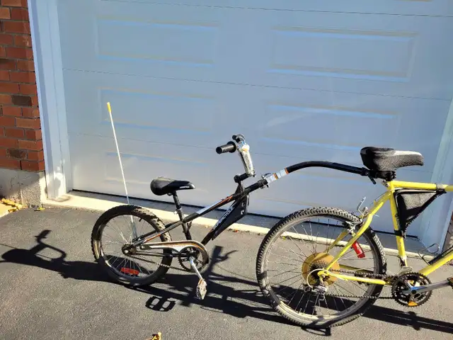Bike Trailer Ride-A-Long in Kids in Hamilton - Image 2