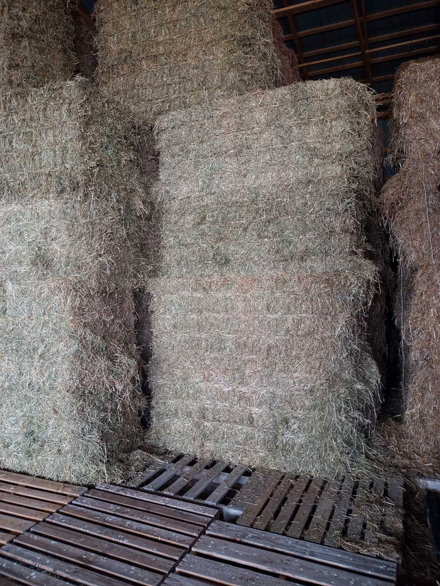 Hay for Sale in Other in Kitchener / Waterloo