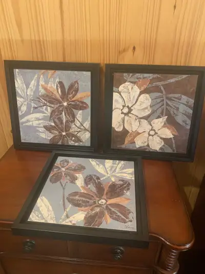 3 cadres noirs de fleurs de qualité aux couleurs chocolat, blanc brun, bleu, beige.