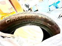245/50/19 pirelli all season tires