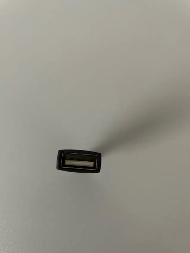USB-C Adapter498132648513382401