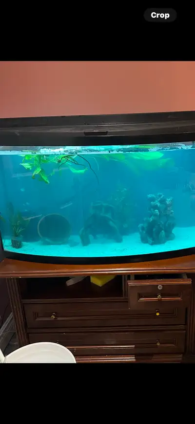 I'm selling a used 45-gallon fish tank, complete with a , The tank is in good condition. It has some...