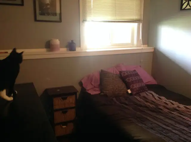 room for rent  in Room Rentals & Roommates in Calgary - Image 3
