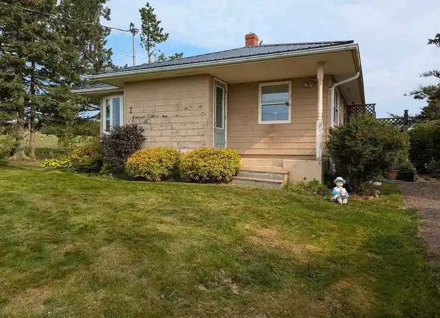 Pro Island Home Painting Services&More call today 902-978-0340 in Painters & Painting in Charlottetown - Image 7