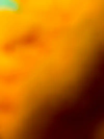 Unique situation for very reasonable rent - all utilities and wifi included This rental is not suita...