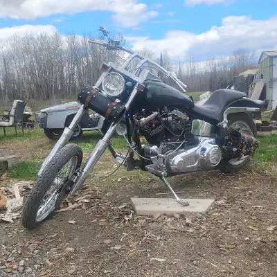 91 Harley Fxst 1340cc Evo. Big Twin. Very low kms , around 7,000 and climbing as I still drive this...