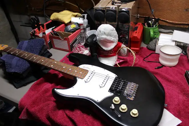 Guitar strings and accessories for sale at FSSS in Guitars in Peterborough - Image 3