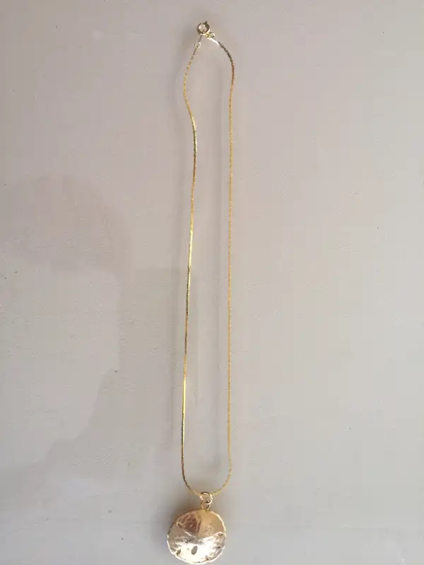 Gold Platted Sand Dollar Necklace in Jewellery & Watches in Downtown-West End - Image 2