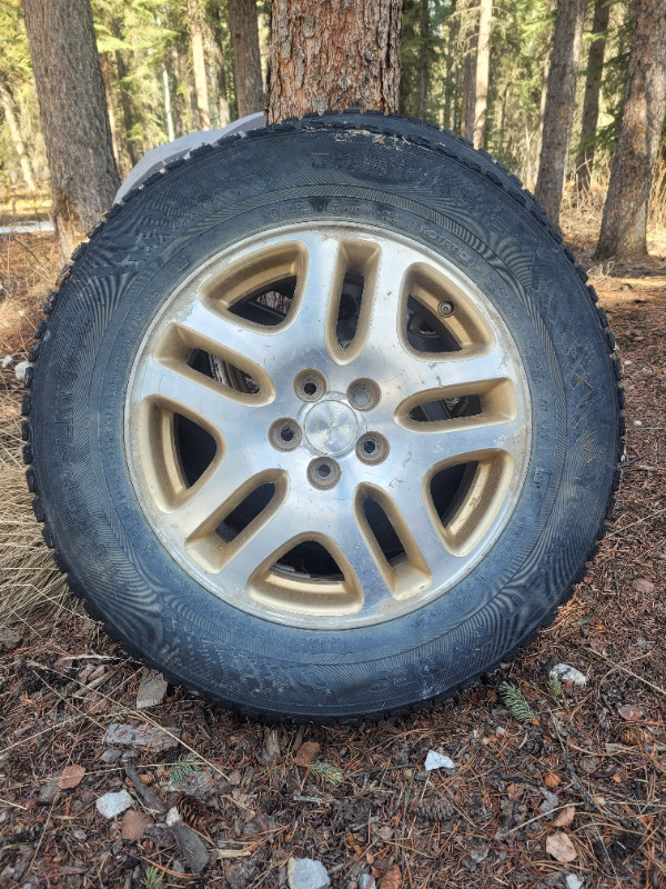 Subaru studded tire on alloy rims x2 in Tires & Rims in Whitehorse
