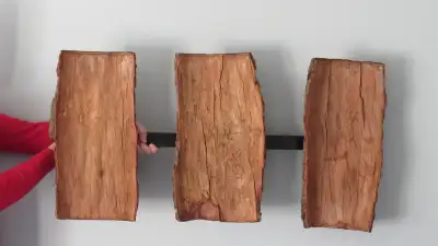 Murale d’écorces d’arbre (pruche) à accrocher au mur à l’horizontale ou à la verticale. 3 écorces mo...