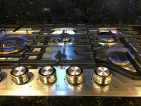 Stainless Steel Gas Cook Top