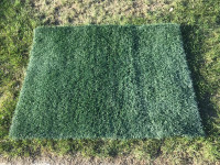 Mosaic Stadium Taylor Field TURF Roughriders mat size 2’ x 3’