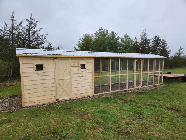 Chicken coops in Livestock in Barrie - Image 3