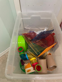 Hamster bin cage and supplies