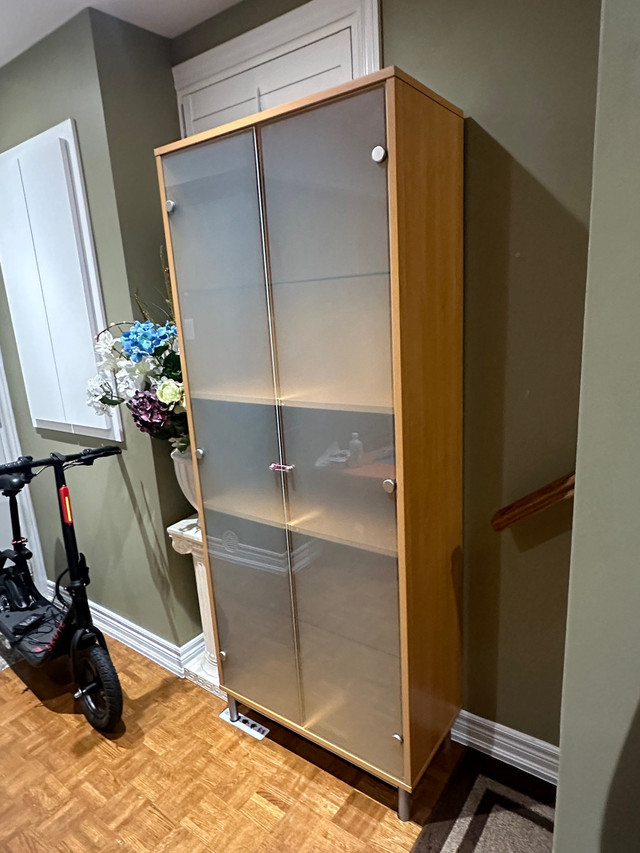 IKEA cabinet with frosted glass doors in Hutches & Display Cabinets in Mississauga / Peel Region