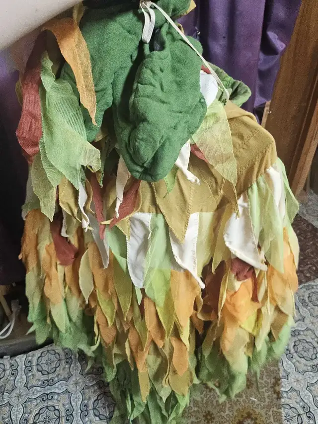 Costume Oiseau, large in Costumes in Sherbrooke - Image 11