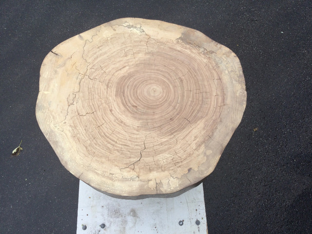 Spalted elm slab table in Other Tables in Owen Sound - Image 4
