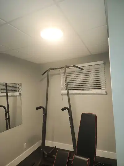 Selling my pull up/dip/pushup station (very light but very sturdy), weight bench with back extension...