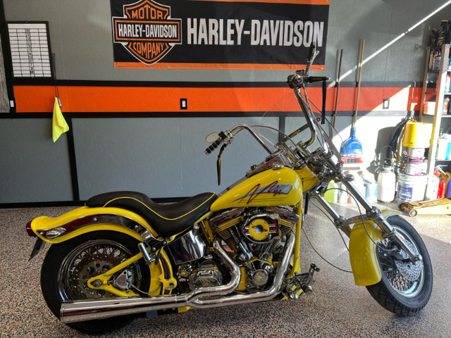 Harley Davidson in Street, Cruisers & Choppers in Edmonton