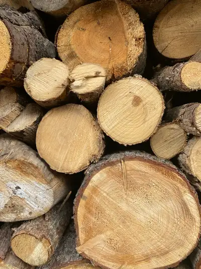 I'm offering seasoned firewood, perfect for your fire pit or fireplace, ensuring cozy evenings with...