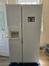 Fridge / Freezer 