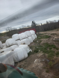 Silage bales