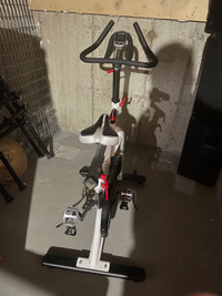 Spin Cycle Exercise Bike