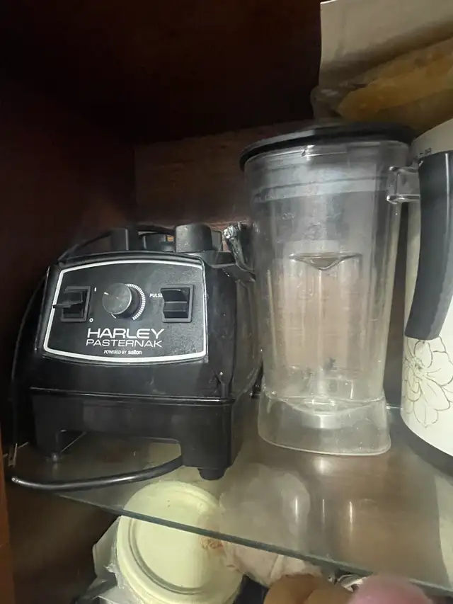 Harley Pasternal Salton Blender