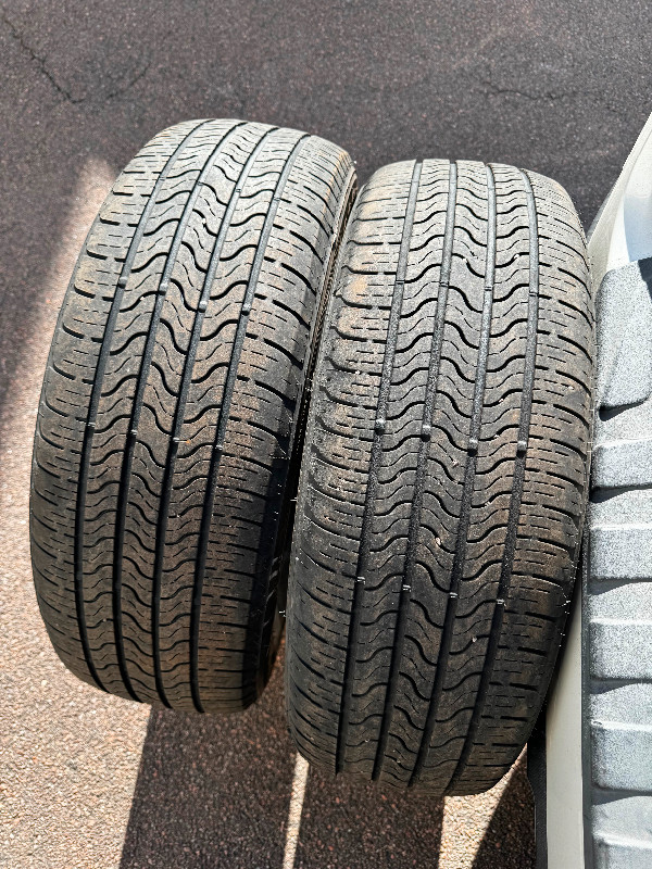 2 Firestone All Season Tires in Tires & Rims in Moncton - Image 3