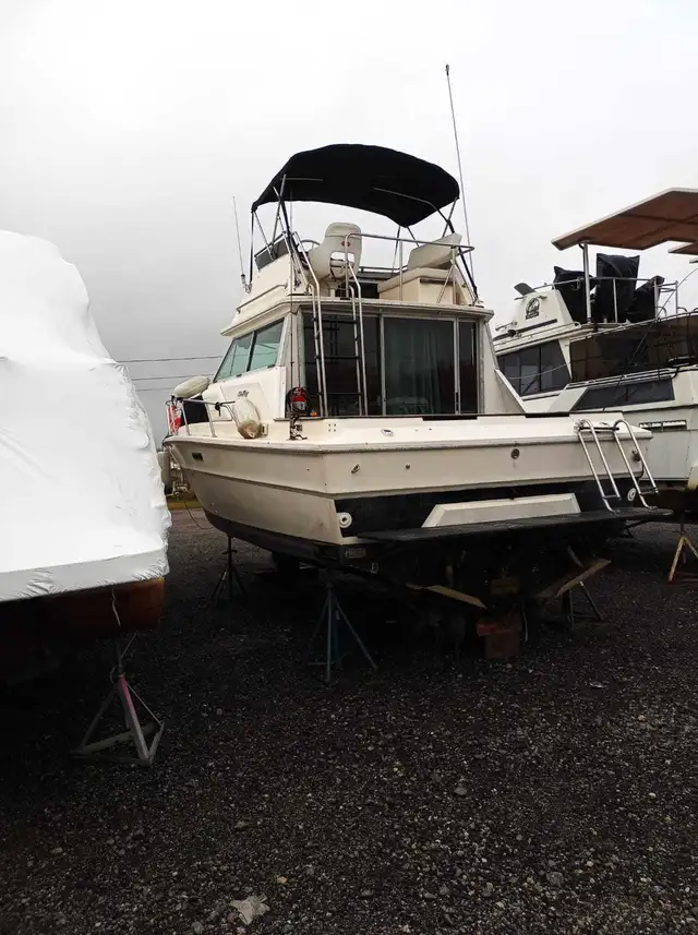 30' SEARAY FLYBRIDGE 30' in Powerboats & Motorboats in Markham / York Region - Image 7