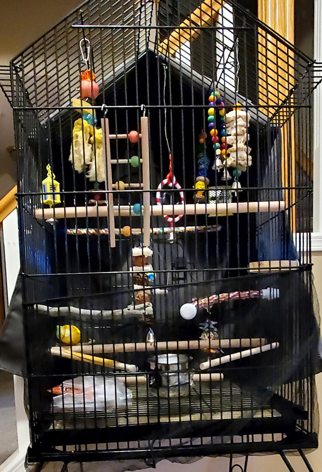 Bird Cage for Sale in Accessories in Calgary - Image 4