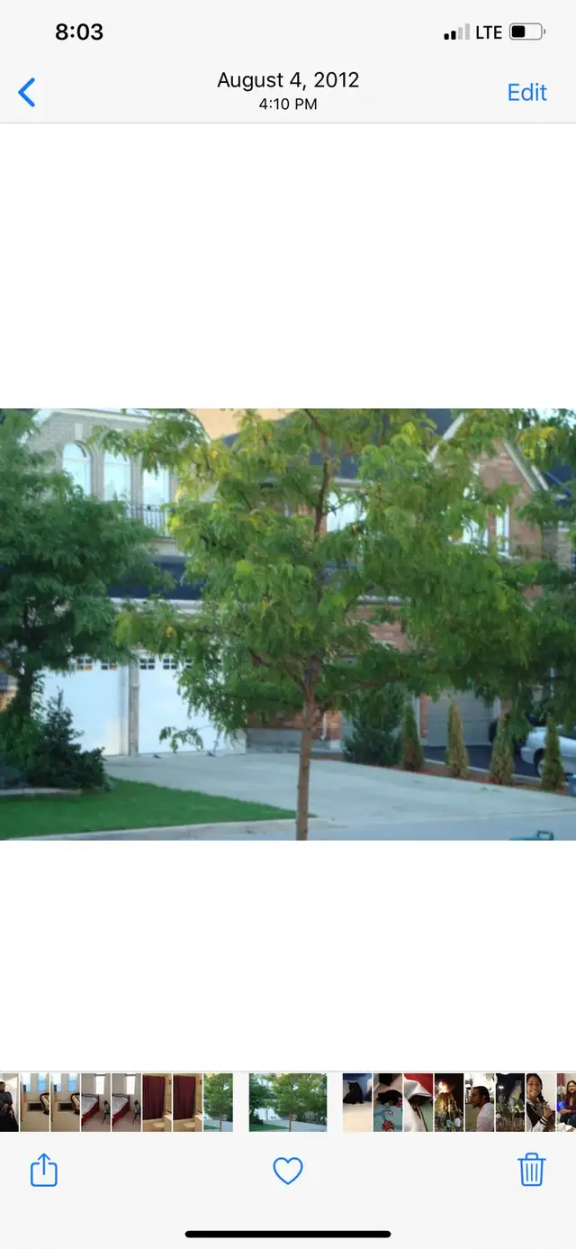 Mississauga - Private Room for Rent