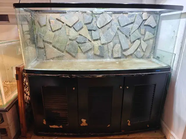 aquarium 105  gallon  jebao fishtank large big in Fish for Rehoming in Laurentides - Image 3