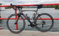 Legacy Carbon Road Bike, Size 54