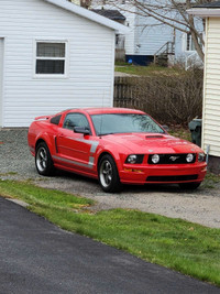 2007 Ford mustang gt