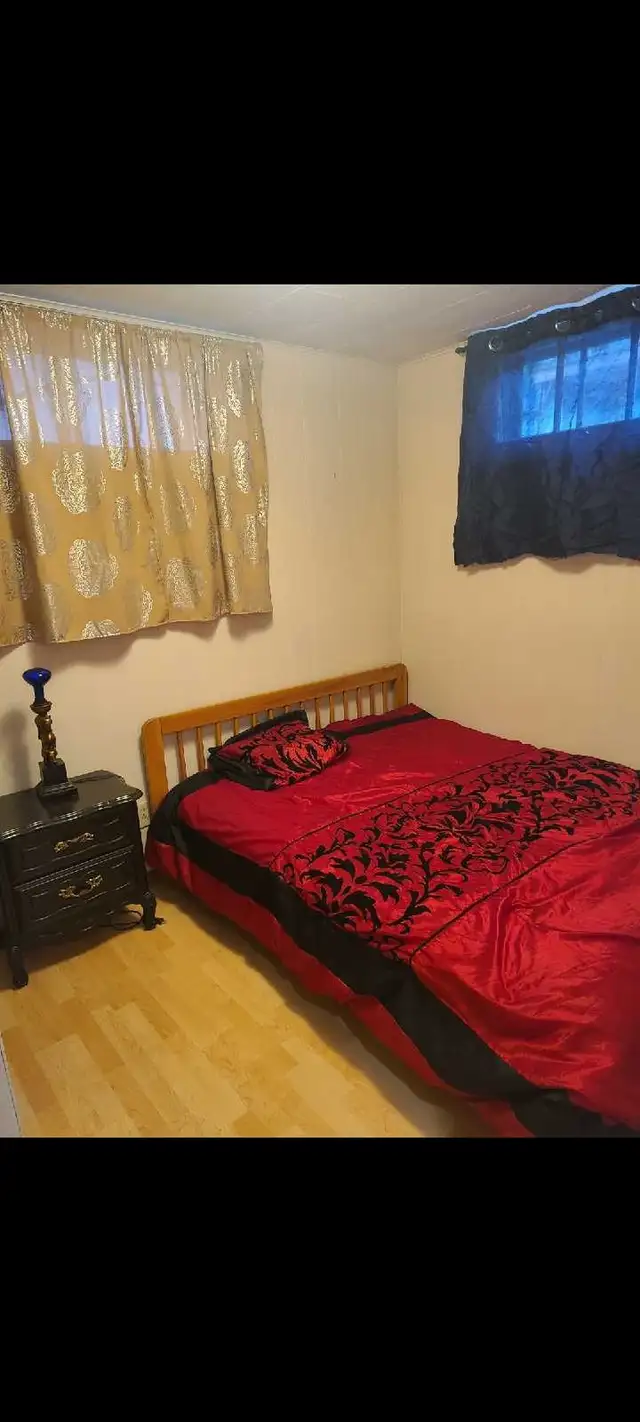 Basment for rent