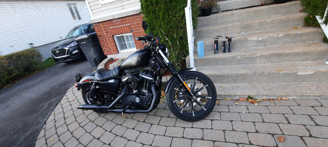 Harley Davidson Sportster Iron 883 année 2016 petit milage dans Utilitaires et de promenade  à Lanaudière - Image 2