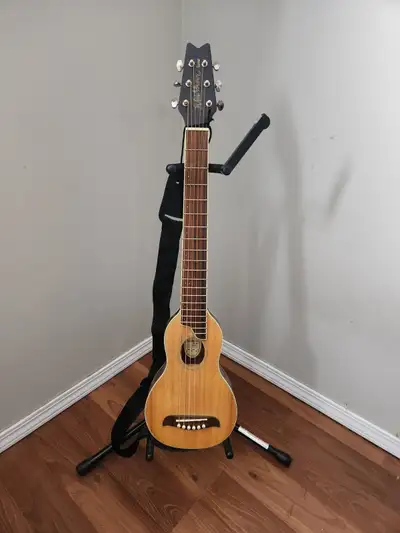 Washburn Rover Guitar, View more