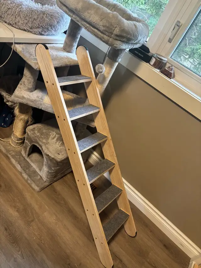 Pet Ladder in Other in Calgary - Image 5