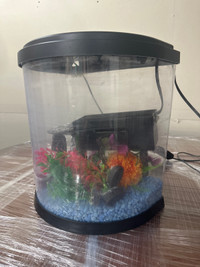 Desktop Aquarium for SALE