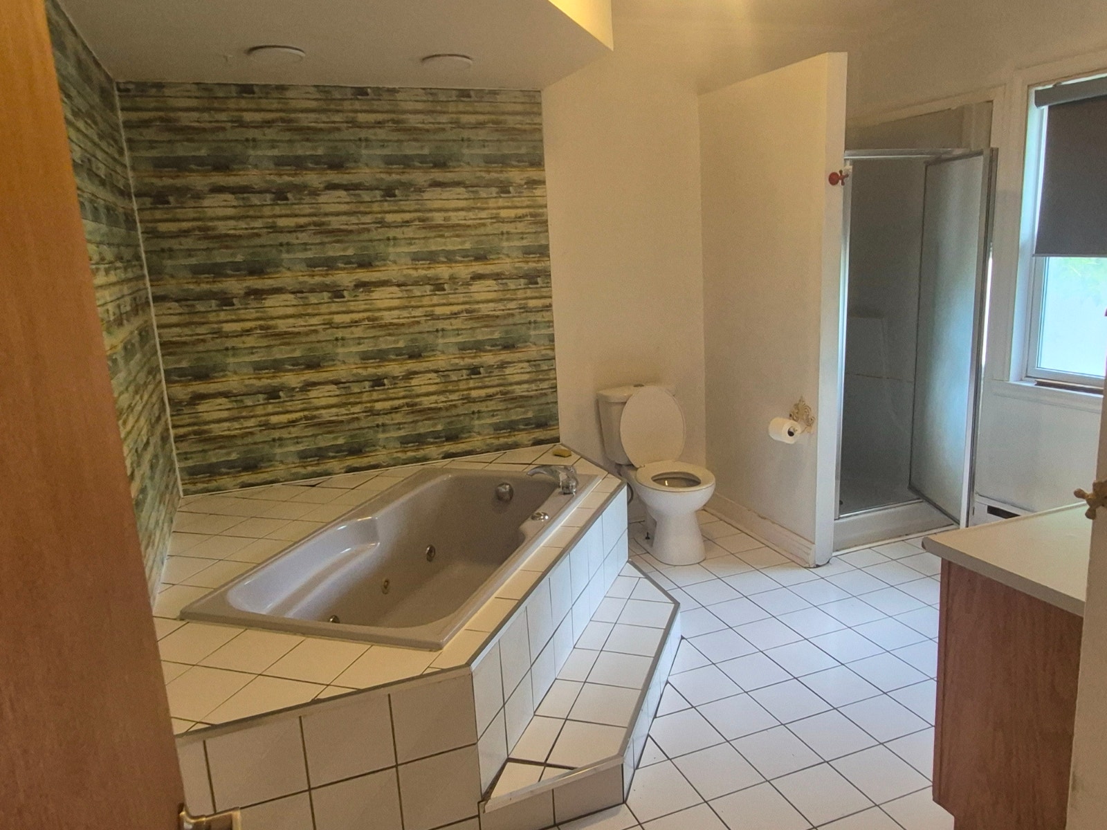 GRAND  APP 5 1/2 AVEC THERMOPOMPE À LAVAL DES RAPIDES. — photo 2