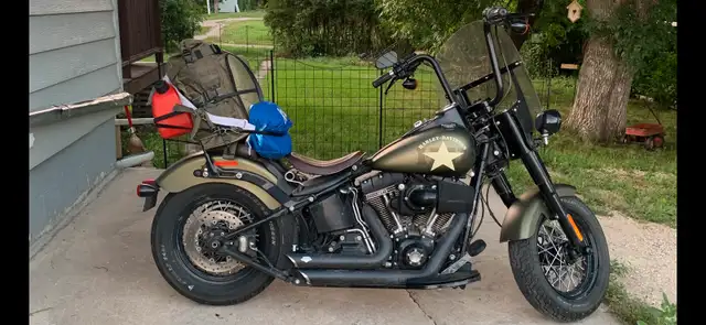 softtail in Street, Cruisers & Choppers in Winnipeg - Image 2