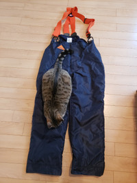 STIHL Chainsaw Safety Pants with Suspenders. Size 40-42.