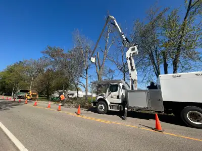 TREE REMOVAL AND SERVICES, View more