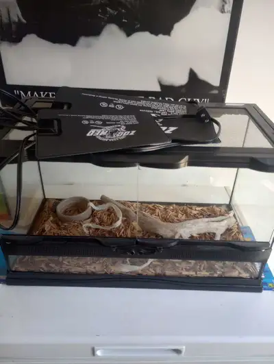 Reptile Tank, View more