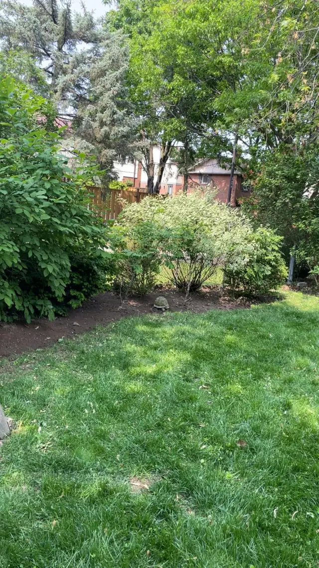 landscaping/ clean up and weed picking62863224879490122