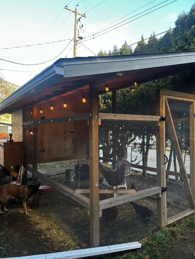House For Rent in Lillooet in Long Term Rentals in Whistler - Image 7
